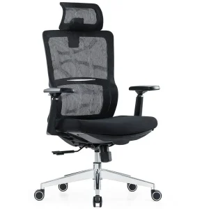 Ghế Công Thái Học GLE02