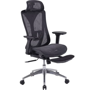 Ghế Công Thái Học GLE15 chính hãng the one