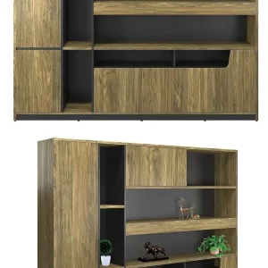 Tủ tài liệu ST2420