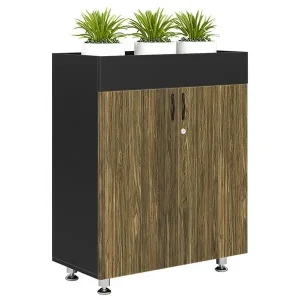 Tủ Tài Liệu Bright BRI1000-2T2 có khoang để cây cảnh