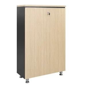 Tủ Tài Liệu Leader LE1260D giá rẻ HCM