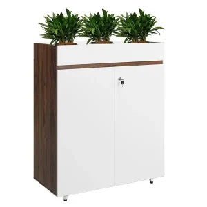 Tủ Tài Liệu Luxury LUX1000-2T2 giá rẻ đẹp
